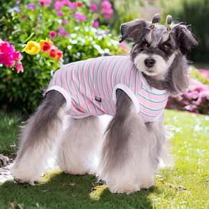 🐾 Dog Recovery Suit, L